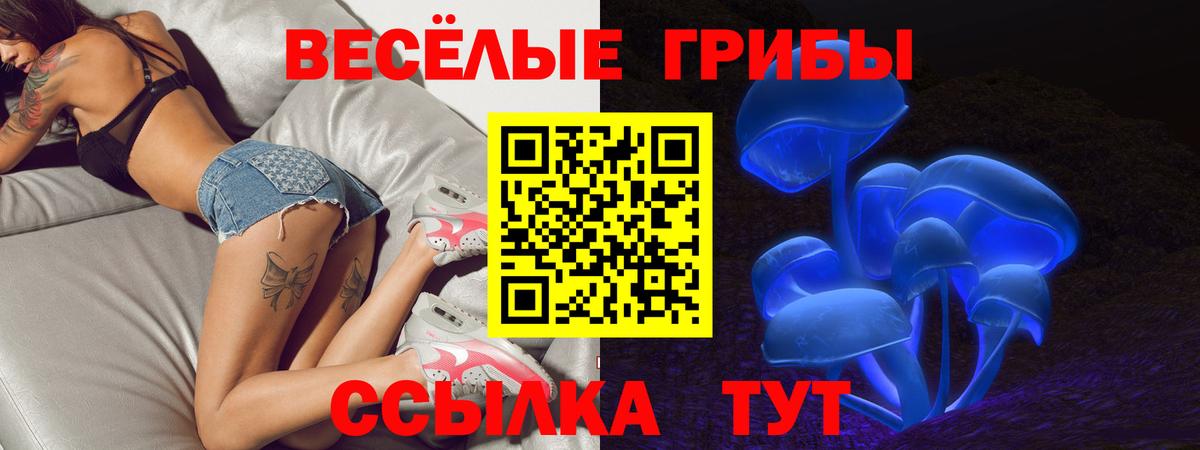 Псилоцибиновые грибы GOLDEN TEACHER  цена   Каспийск  Галлюциногенные грибы GOLDEN TEACHER  Вход с VPN 